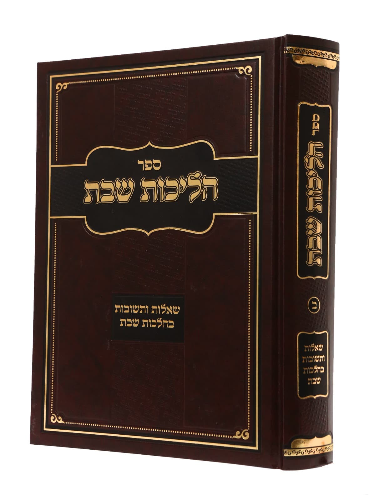 שאלות ותשובות בהלכות שבת ב'